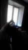 20170727154643.jpg