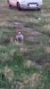 IMG-20170801-WA0032.jpg