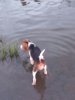 IMG-20170801-WA0031.jpg