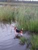 IMG-20170801-WA0029.jpg