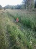 2017-08-04 19.04.49.jpg
