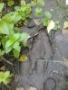 2017-08-04 19.17.46.jpg