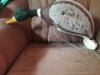 20170806_114659.jpg
