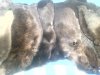 IMG_20170810_105915.jpg
