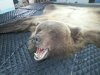 IMG-20170807-WA0001.jpg