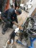 IMG-20170326-WA0016.jpg
