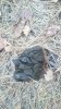 IMG-20170826-WA0006.jpg
