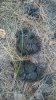 IMG-20170826-WA0005.jpg