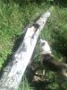 IMG_20170827_115649.jpg