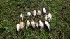 IMG-20170827-WA0024.jpg