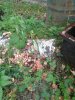 IMG_20170831_163121.jpg