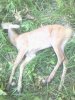 IMG0134A.jpg