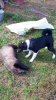 20170916_225848.jpg