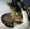 DSC05355.JPG