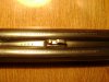 DSC02158.JPG