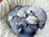 IMG-20170919-WA0000.jpg