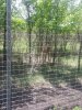 20140605_132111.jpg