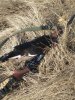 IMG_20170421_164043.jpg