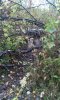 20170923_085814.jpg
