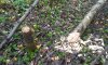 20170923_085529.jpg