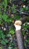 20170923_085547.jpg