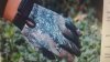 20170928_205618.jpg