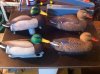IMG-20170928-WA0025.jpg
