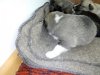IMG-20170930-WA0003.jpg