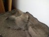 IMG-20170930-WA0002.jpg