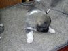 IMG-20170930-WA0001.jpg