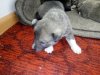 IMG-20170930-WA0004.jpg