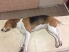 IMG-20171007-WA0001.jpg