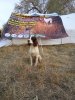IMG_20171007_175452.jpg