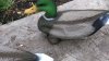 0DSC_0231.JPG
