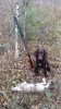 IMG-20171013-WA0007.jpg