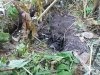 20171015_085441.jpg