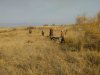 IMG-20171015-WA0035.jpg