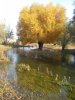 IMG-20171015-WA0036.jpg