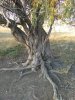 IMG-20171015-WA0053.jpg