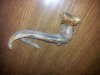20171015_215634.jpg