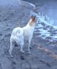 IMG-20171017-WA0014.jpg