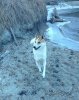 IMG-20171017-WA0012.jpg