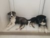 IMG-20171027-WA0011.jpg