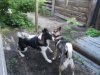IMG-20170910-WA0028.jpg