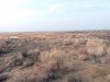 20171021_081647.jpg