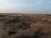 20171021_081651.jpg