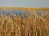 IMG-20171022-WA0003.jpg