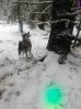 IMG-20171106-WA0023.jpeg