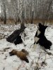 20171106_125342.jpg