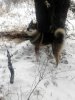 IMG_20171107_110003.jpg